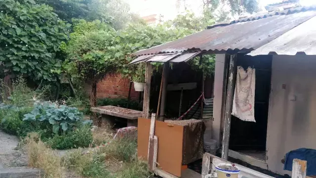 Yaprak toplamak için çıktığı asmadan düşerek hayatını kaybetti