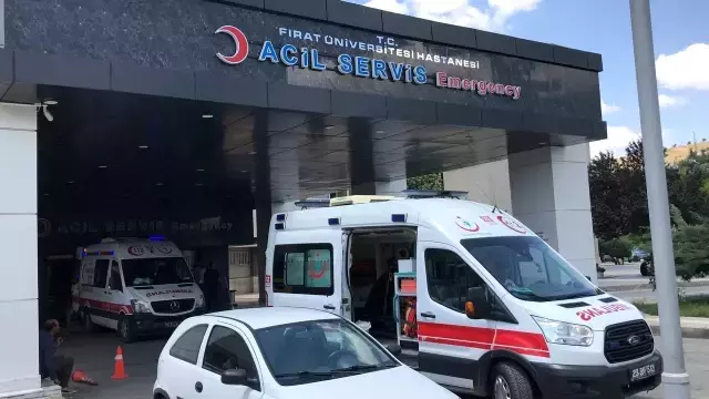 Köyde çocuğun kafasına yapışan keneyi çıplak elleriyle çıkardılar, 5 gün sonra soluğu hastanede aldılar