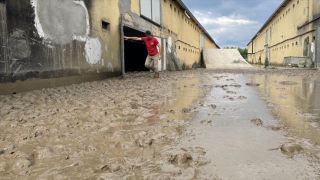 Sele teslim olan köyde tavuk çiftliğindeki 195 bin hayvan telef oldu! Çiftçi iflas bayrağını çekmek üzere