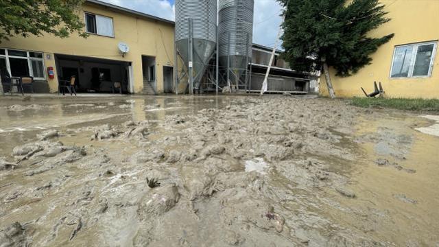 Sele teslim olan köyde tavuk çiftliğindeki 195 bin hayvan telef oldu! Çiftçi iflas bayrağını çekmek üzere