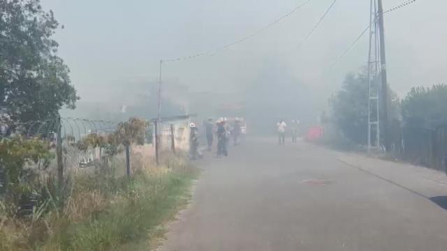 Beykoz'da orman yangını çıktı! Olay yerine çok sayıda itfaiye ekibi sevk edildi