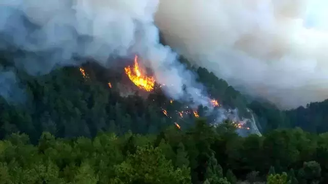 Son dakika haberi... Kütahya'da Emet'te orman yangını... Ekipler yangına müdahale ediyor