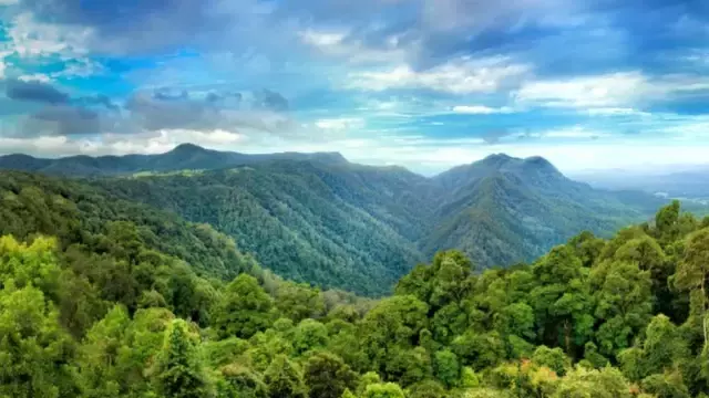 Zelandiya: Bulunması 375 yıl süren yeni kıta