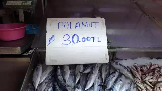 Sezonun ilk palamutları 30 liradan tezgahlarda yerini aldı