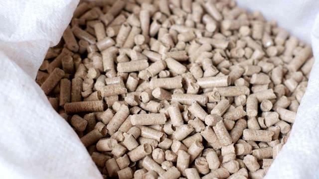 Rusya'nın ambargo uyguladığı Bulgaristan'da yakacak krizi! Edirne'den tırlar dolusu pelet satın almaya başladılar