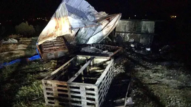 Onlarca güvercini çırpına çırpına can verdi! Manzaraya gördüğündeki hareketi güne damga vurdu