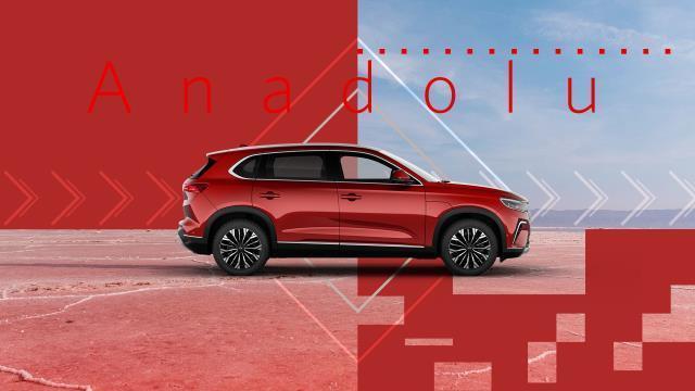 Cumhurbaşkanı Erdoğan istedi! Togg'a bir renk daha eklendi