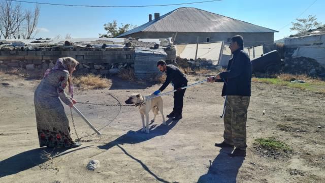 Bitlis'te kuduz paniği! Hastanelik olan 2 çocuktan sonra yapılan taramada tedirgin eden sonuç
