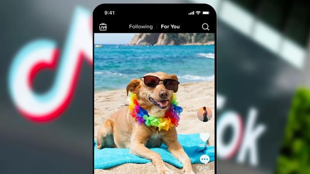 TikTok gizlilik politikasını değiştirdi! artık kullanıcı verilerini çalışanlar görebilecek!
