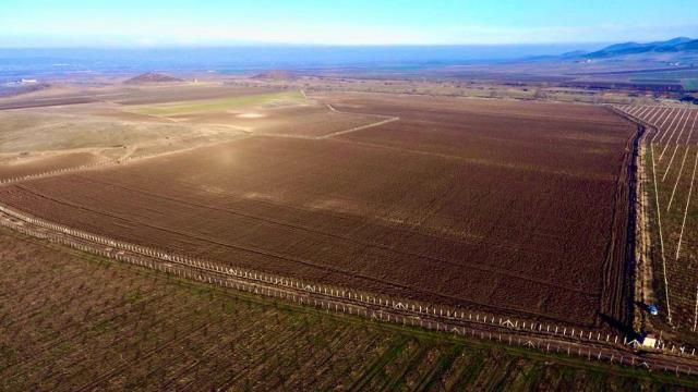 İş Adamı Bora Yazır'dan Gürcistan'a 100 hektarlık üzüm bağı yatırımı