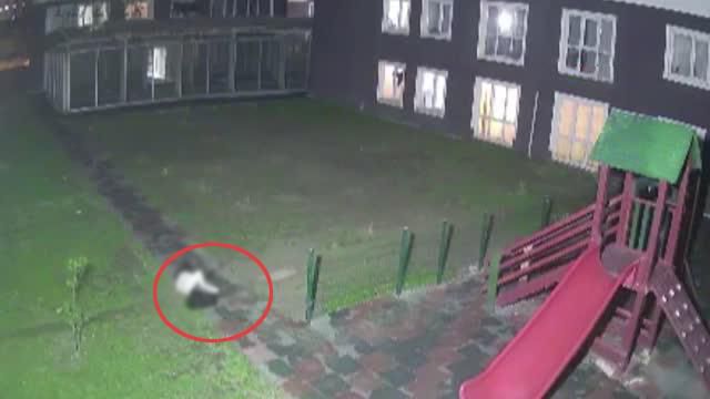 İranlı kadın 10'uncu kattan düşerek feci şekilde can verdi! Korkunç olay saniye saniye kamerada