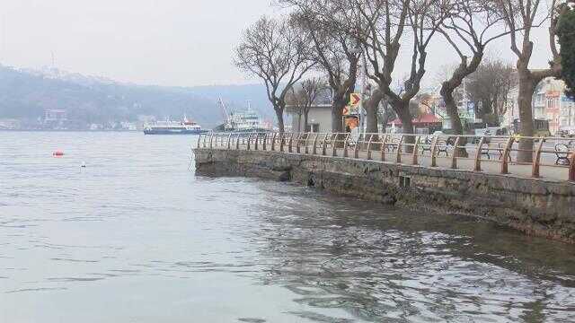 Boğaz'da denizanası yoğunluğu; balık stoklarında azalmaya sebep oluyor