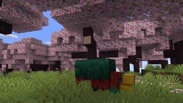 Minecraft'a 1.20 sürümü ile kiraz çiçeği biyomu geliyor