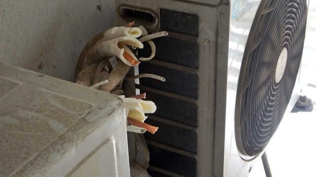Antalya'da apartmana giren hırsıza, 'WhatsApp' grubu sayesinde suçüstü!