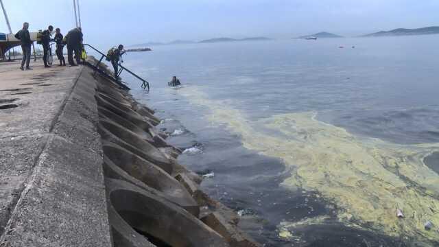 Müsilaj kabusu geri mi döndü? Marmara'da çekilen görüntü endişe yarattı
