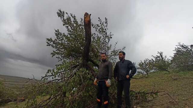 Kahramanmaraş'ta hortum çatıları uçurdu, ağaçları yerinden söktü