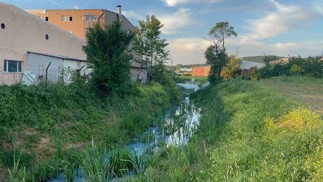 Arnavutköy'deki derenin rengi maviye döndü, atık sular kaynaklı iddiası