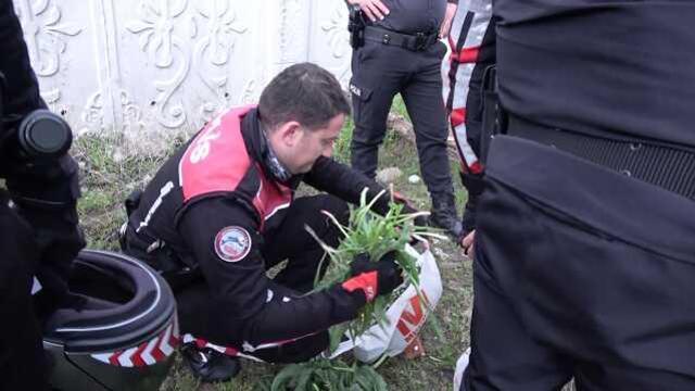 İhbara giden polis, ot toplayan kişiyi gözaltına aldı