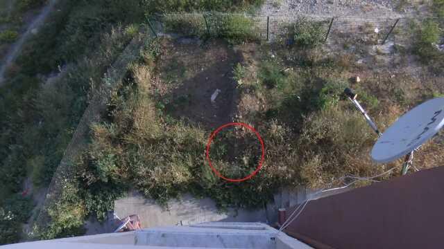 Örümcek Adam'a özenip 5'inci kattan atladı, burnu bile kanamadı