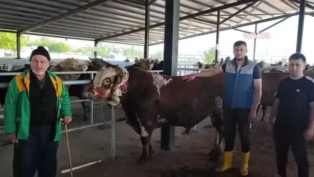 Besici Uğur Acar: 'Baklava nasıl et fiyatını geçer, anlayabilmiş değilim'