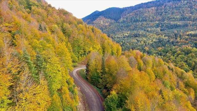 Belgrad Ormanına girmek yasak mı 2023? Belgrad Ormanı açık mı? Belgrad Ormanında mangal yakmak yasaklandı mı? İstanbul Valiliği'nden orman yasağı!