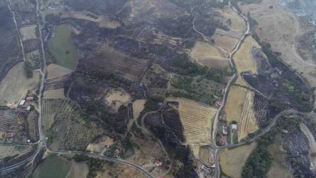 Son Dakika: 3 gündür devam eden Çanakkale'deki orman yangını kontrol altına alındı