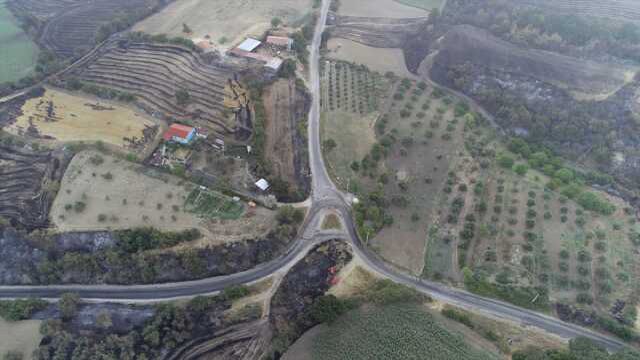 Son Dakika: 3 gündür devam eden Çanakkale'deki orman yangını kontrol altına alındı