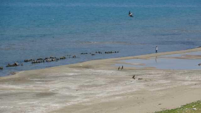 Van Gölü'ndeki iyileşme kısa sürdü! Su tekrar çekilmeye başladı, yaz sonunda manzara epey sıkıntılı olabilir