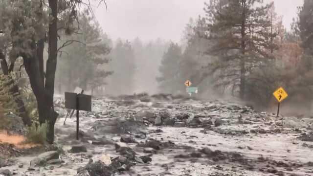 Hilary Kasırgası Kaliforniya'yı Vurdu