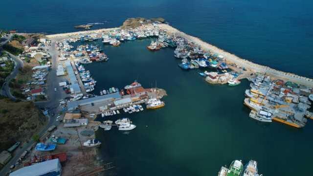 Denizlerde av yasağı 1 Eylül'de kalkıyor! Bu sene palamut, istavrit ve hamsinin bol olması bekleniyor