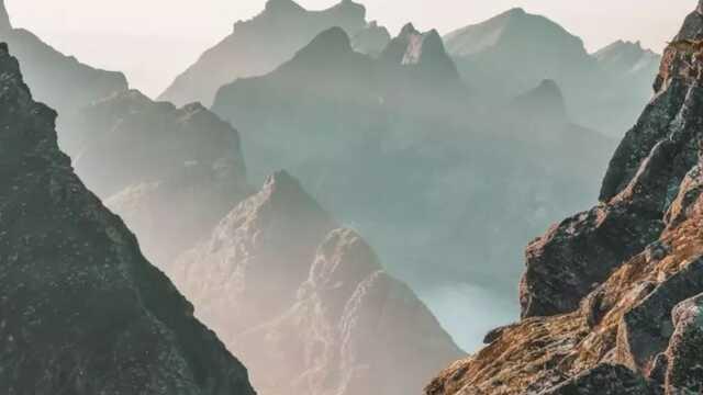 Her 200 kişiden sadece 1'i gördü! Gizlenmiş kartalı yalnızca şahin gözlüler bulabiliyor