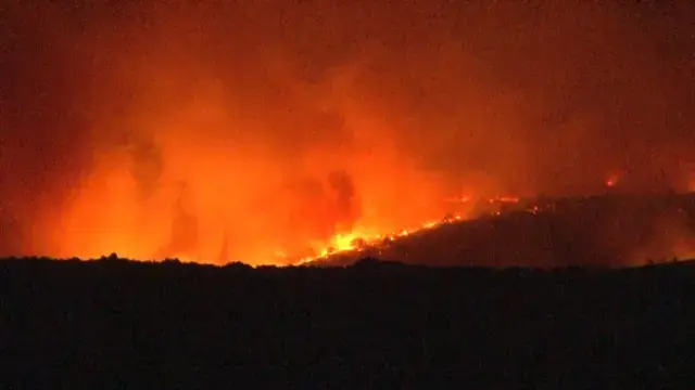 Bulgaristan'daki orman yangını Türkiye'yi tehdit etmeye başladı, ekipler sınır bölgesinde teyakkuza geçti