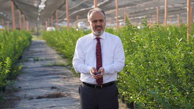 Bursa'nın Yükselen Değeri: Tarım