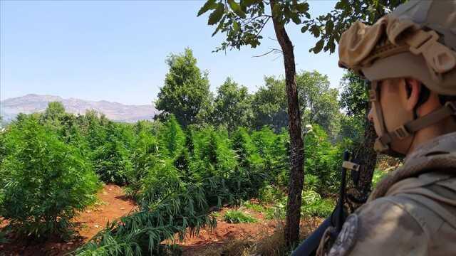 Diyarbakır'daki uyuşturucu operasyonunda 2 ton esrar ve 13 milyondan fazla kök kenevir ele geçirildi