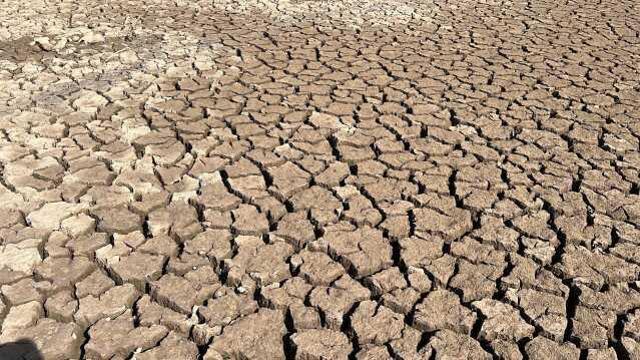 Muğla'daki barajlar kuruldu