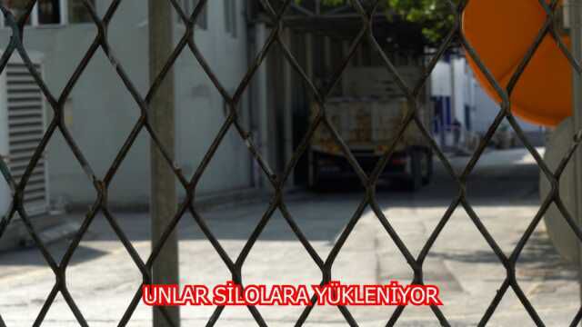 Halk Ekmek Fabrikası'nda bakterili un iddiası! Görüntüler paylaşıldı