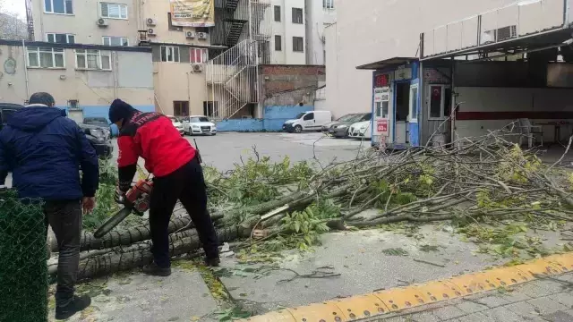 Fırtına nedeniyle devrilen ağacın altında kalmaktan son anda kurtuldu