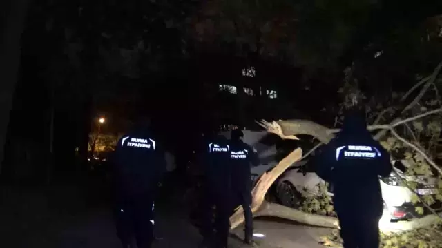 Bursa'da lodos hayatı felç etti! Elektrik direği ve ağaçlar devrildi, 5 ilçede eğitime ara verildi