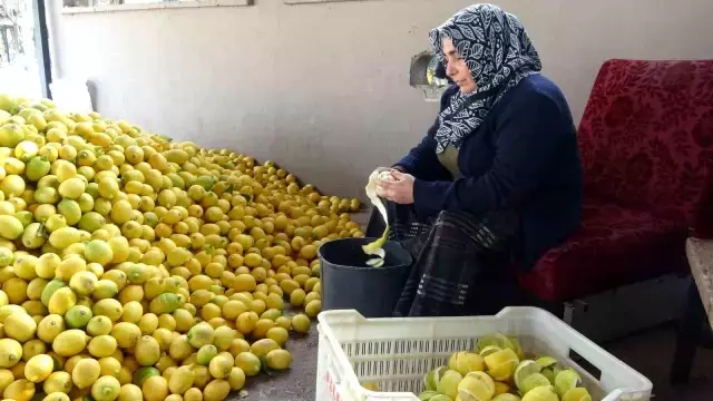 Limonun kendisi para etmeyince kabuğunu satmaya başladılar