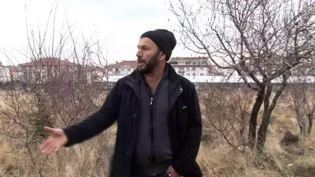 Başıboş köpekler Ankara'da okula giden çocuğa saldırdı