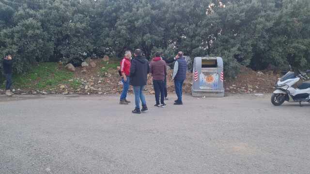 Bodrum'da çöp konteynerinin yanında derisi yüzülmüş tilki bulundu