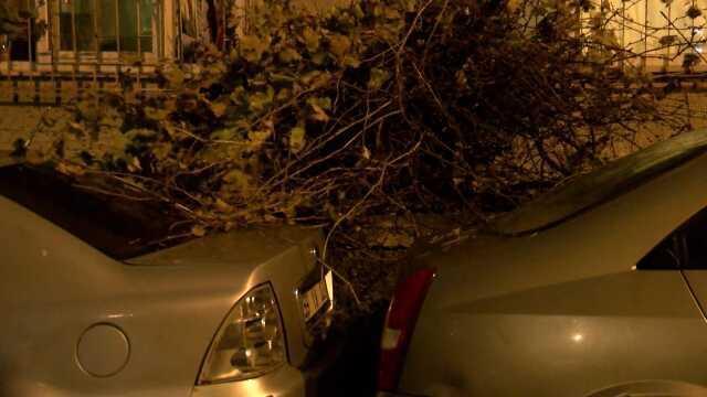 İstanbul'da yağış ve fırtına hayatı felç etti! Ağaç otomobilin üzerine devrildi, İETT otobüsünü su bastı