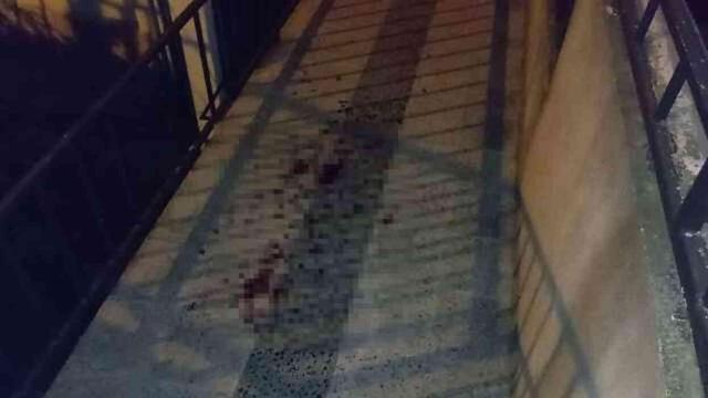 Ağabey ve kardeşin kavgası kanlı bitti