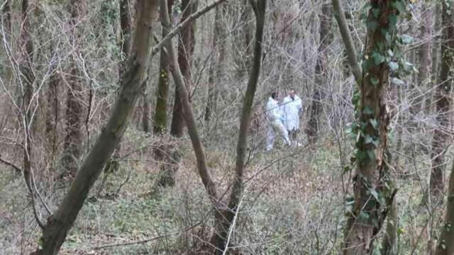 Sarıyer'de çıplak halde ağaca bağlanmış erkek cesedi bulundu