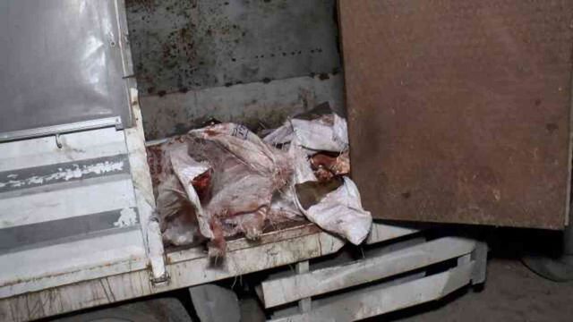 At eti kesim merkezine baskın! Kilolarca at eti bulundu, 3 hayvan kurtarıldı