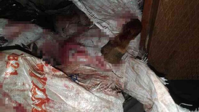 At eti kesim merkezine baskın! Kilolarca at eti bulundu, 3 hayvan kurtarıldı