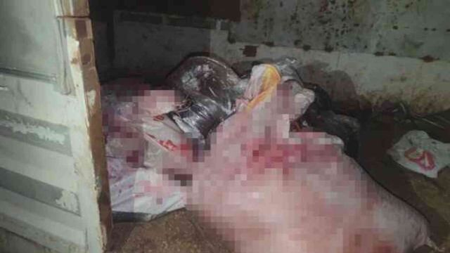 At eti kesim merkezine baskın! Kilolarca at eti bulundu, 3 hayvan kurtarıldı