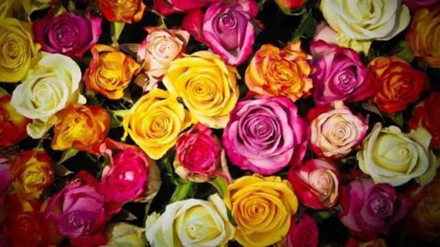 ANNELER GÜNÜ MESAJI 2024! #128144 Anneler günü mesajı, anlamlı sözler neler? Anneler günü şiirleri, en güzel sözler...