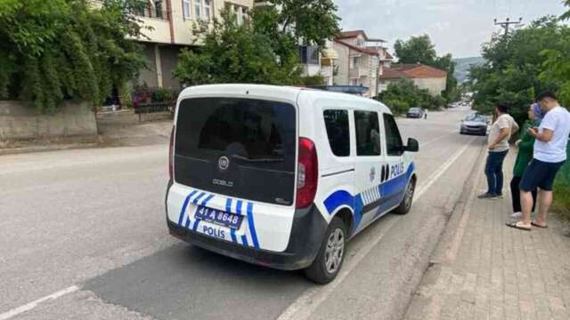 Dut toplamak için çıktığı ağaçtan düşerek demir korkuluklara saplandı