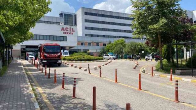 Dut toplamak için çıktığı ağaçtan düşerek demir korkuluklara saplandı
